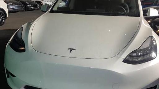 TESLA MODEL Y 2021 5YJYGDEE4MF301095 image